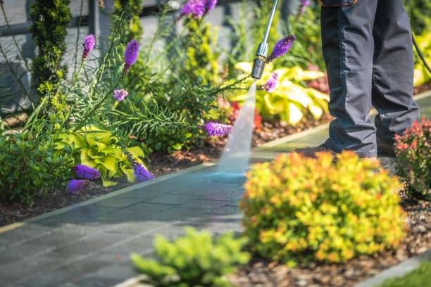 Best Patio and Deck Pressure Washing  in Avon, MN