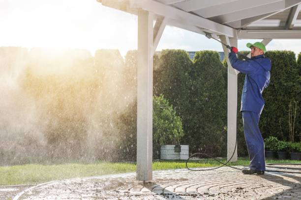 Best Building Exterior Washing  in Avon, MN