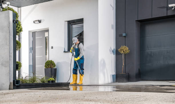 Best Soft Washing  in Avon, MN